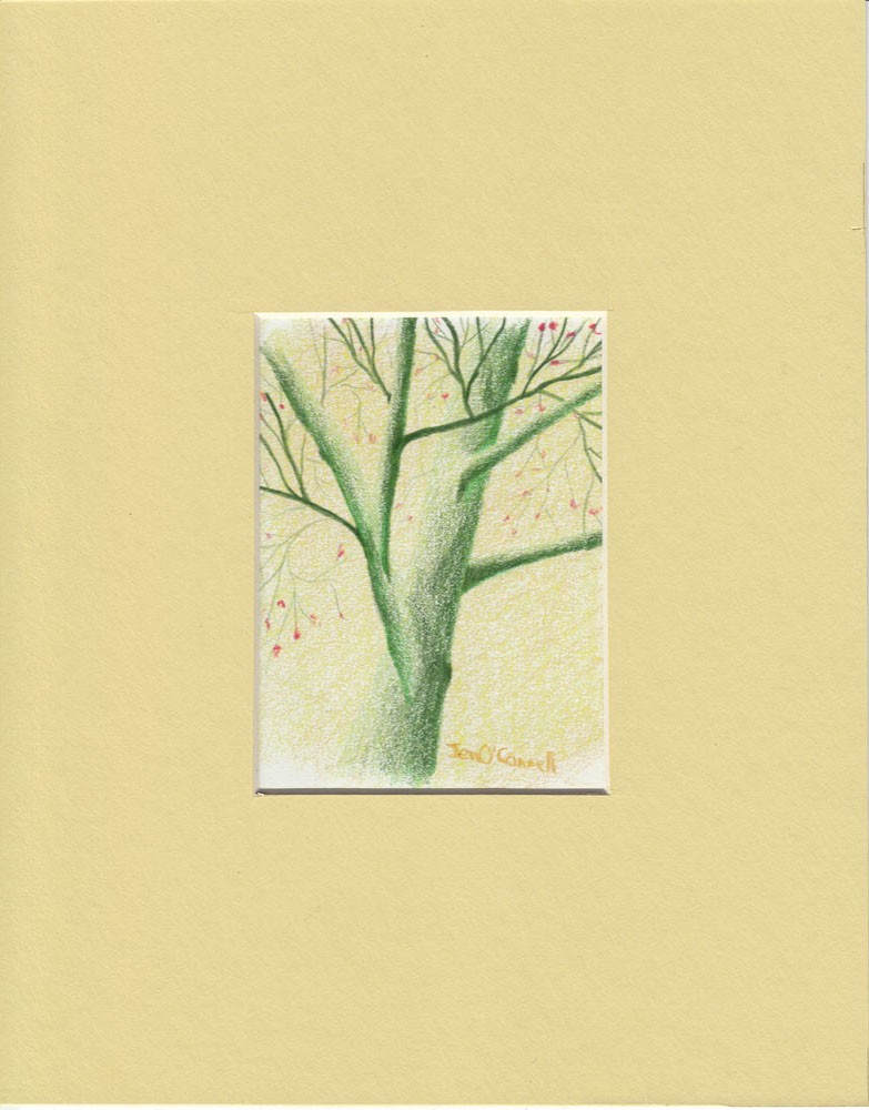 Tree Branch 4-Original Colored Pencil Drawing (8x10 mat included) — Jen's  Art Shop